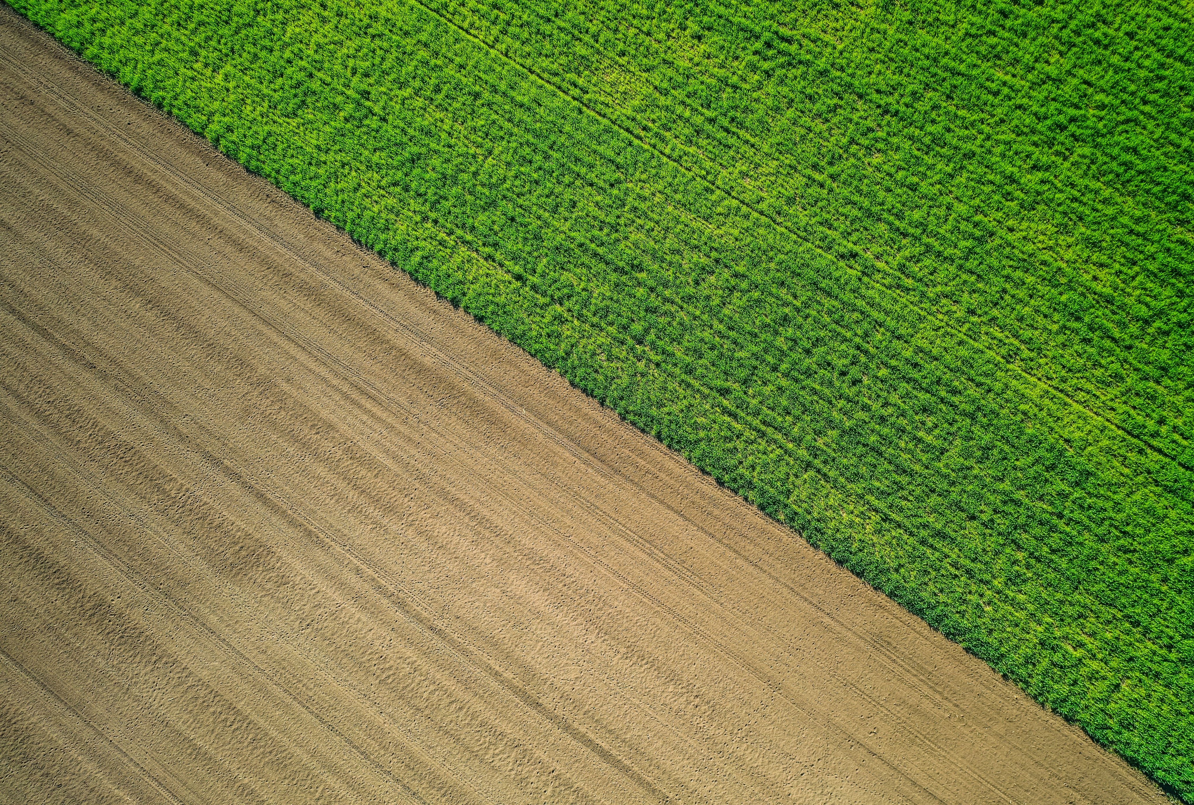 Aerial Survey